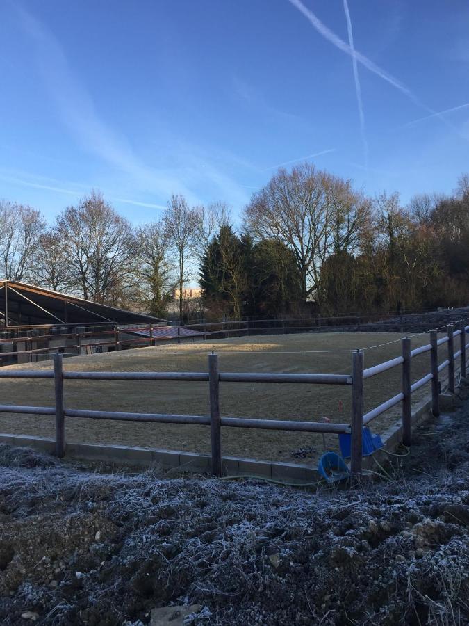 Maison Ecologique En Pleine Nature Bouleurs Eksteriør billede